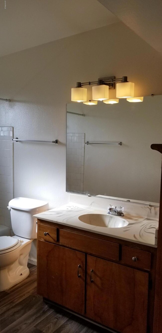 1141 N April Cir unit C, Mesa, AZ 85203 - photo 5