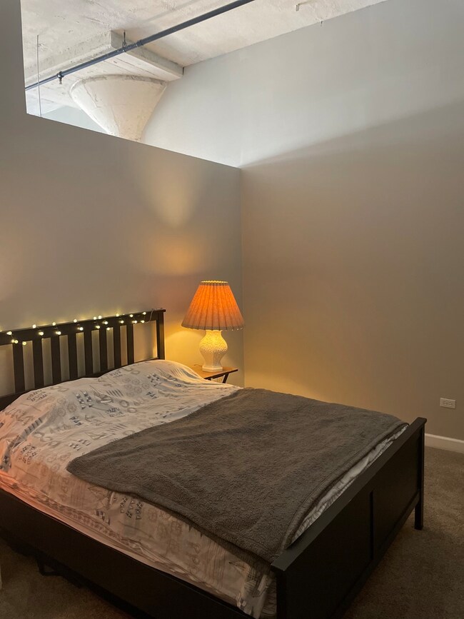 Prairie Avenue Lofts unit 811, Chicago, IL 60616 - photo 5