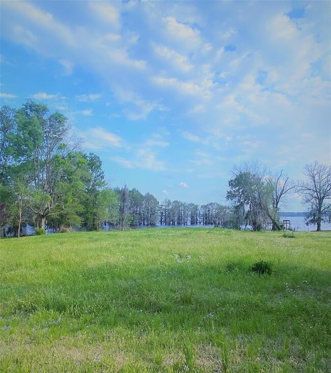 View of lot from the Road - approx 100' of road fr