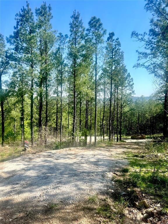 View of road with a view of trees