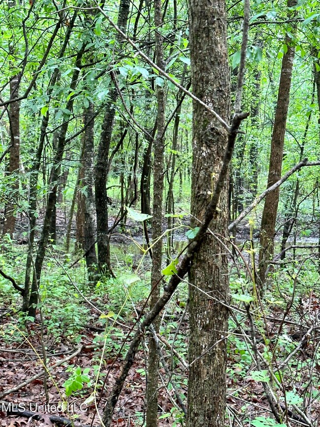 IMG-8719