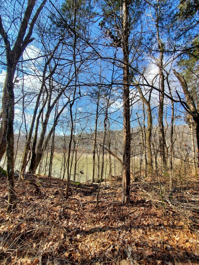 129 Buckeye Dr, Burnside, KY 42519 - photo 6