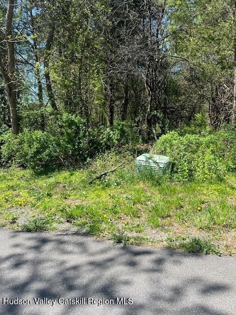 4 Catskill Ct, Coxsackie, NY 12015 - photo 5