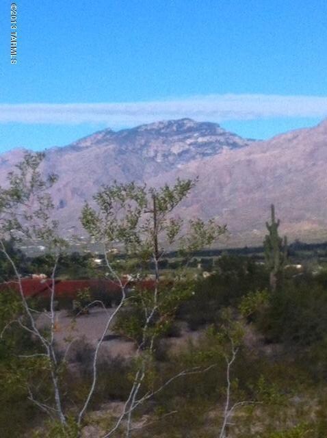 photo 2 montuzuma