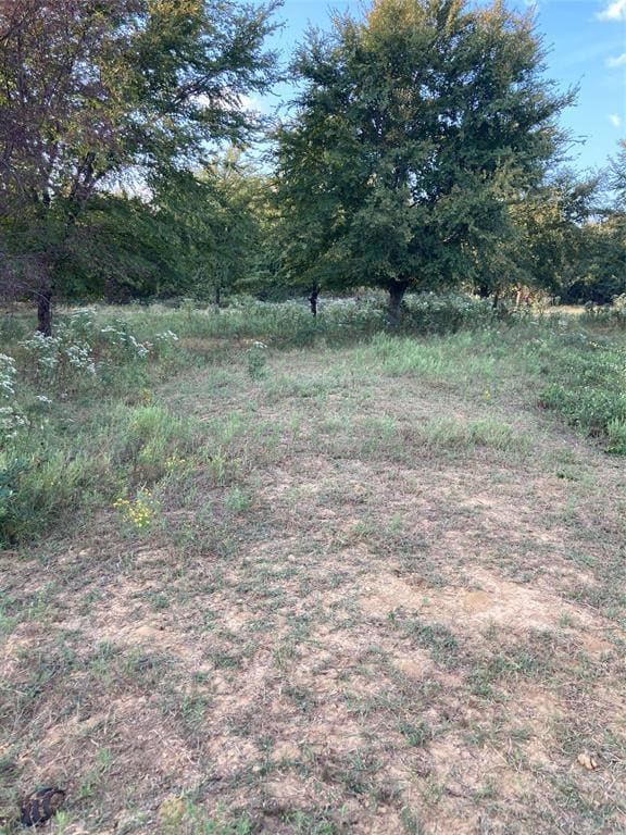 CR 113 County Road 113, Whitesboro, TX 76273 - photo 6