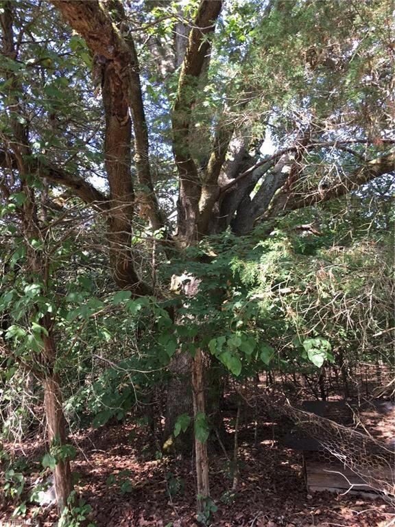 1347 Grantville Ln, Asheboro, NC 27205 - photo 6