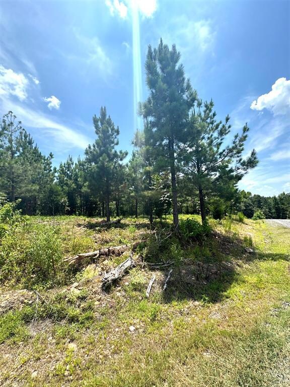 136 Charmed Ridge Ln, Broken Bow, OK 74728 - photo 6