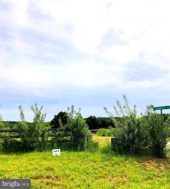 Lot 5 Spring Valley Ct, Stephens City, VA 22655 - photo 2