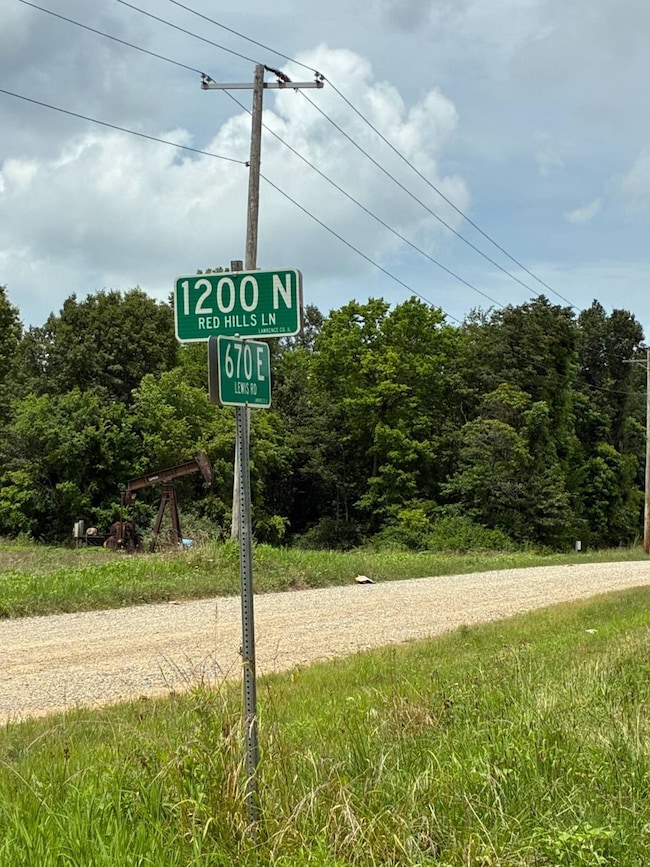 0002 Red Hills Ln, Bridgeport, IL 62417 - photo 4