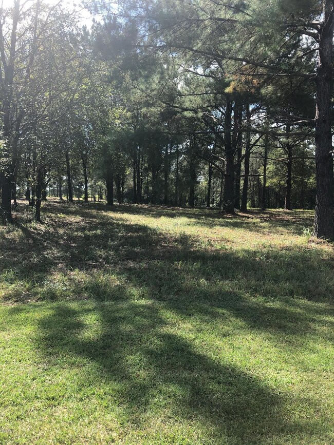 0 Burgundy Dr, Lucedale, MS 39452 - photo 7