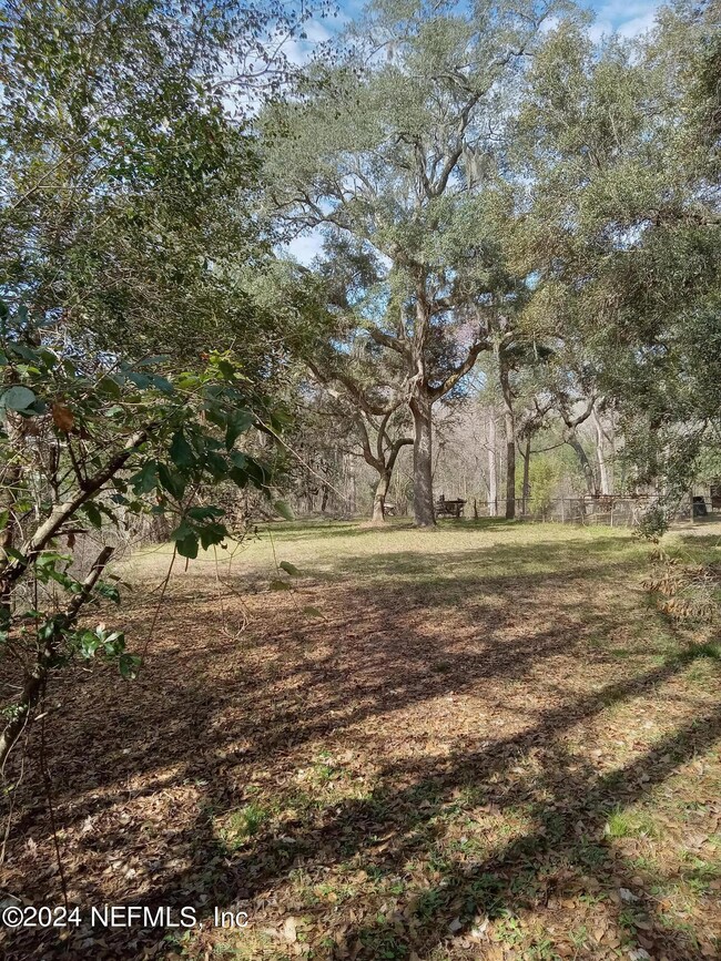 2905 Creek St, Middleburg, FL 32068 - photo 3