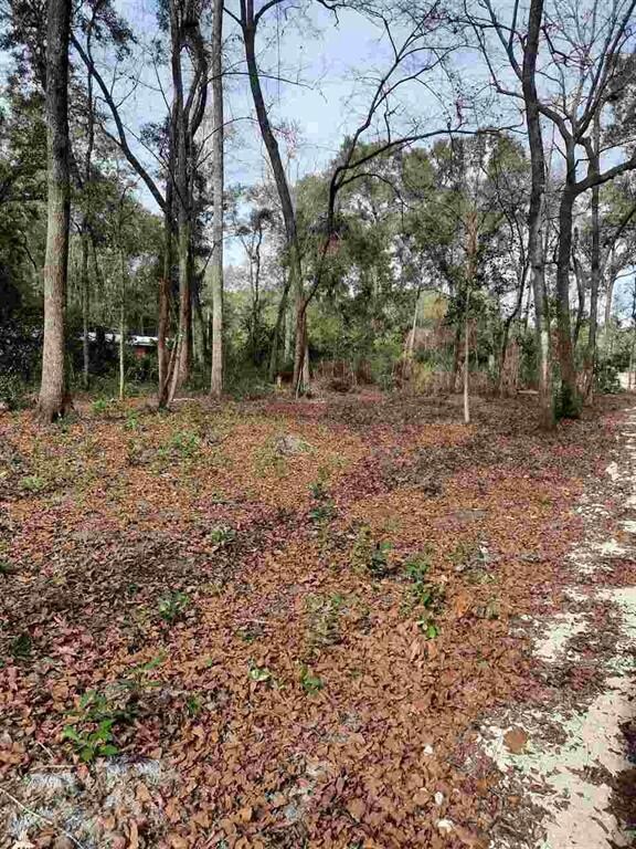 00 288th Terrace, Branford, FL 32008 - photo 6