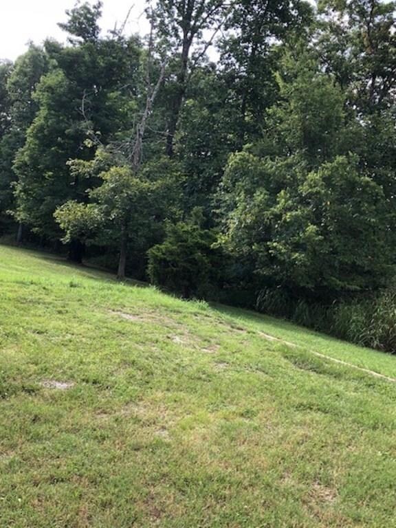 17770 S Highway 71, Winslow, AR 72959 - photo 6