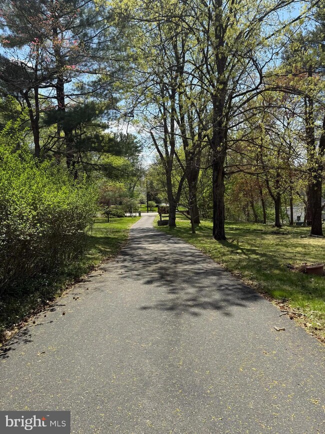 44 Wilburtha Rd, Ewing, NJ 08628 - photo 4