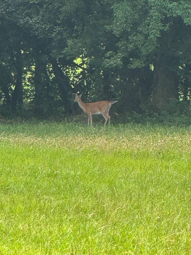 21000 Indian Meridian Rd, Pauls Valley, OK 73075 - photo 4