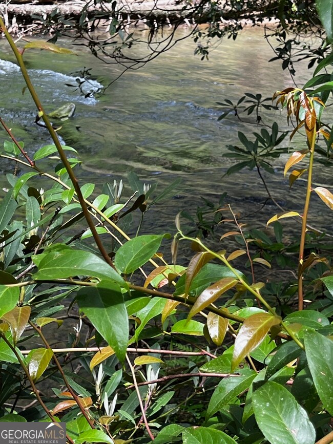 105 Chinquapin Ln, Clarkesville, GA 30523 - photo 7