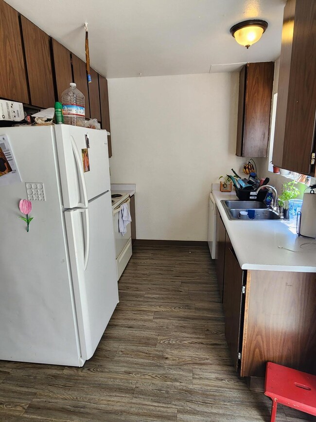 Delphinium kitchen 2
