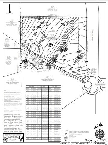 8633 Barn Owl, San Antonio, TX 78255 - photo 7