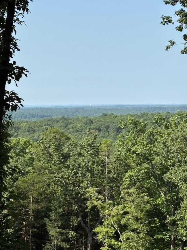 102 Long View Ct, Pickens, SC 29671 - photo 6