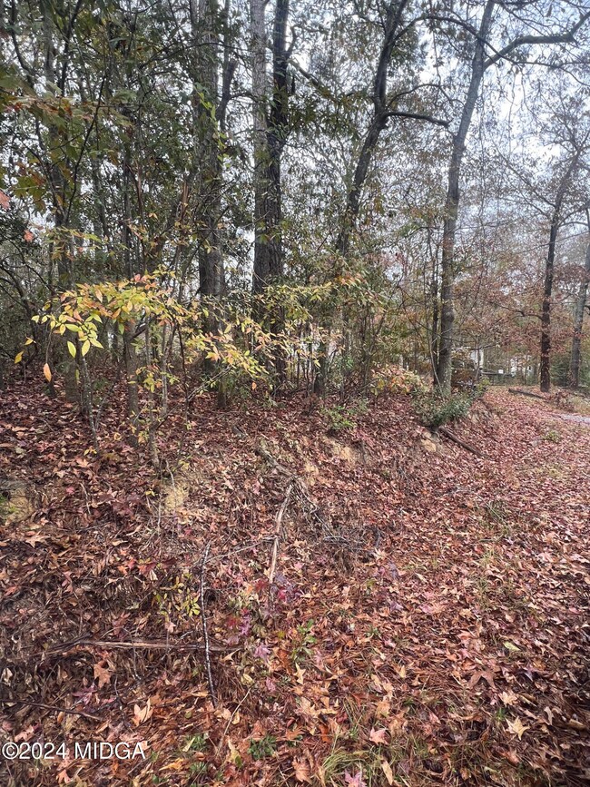 000 Evergreen Cir, Ivey, GA 31031 - photo 5