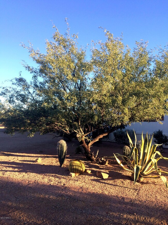 PROFESSIONALLY LANDSCAPED