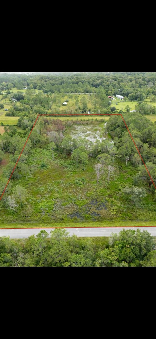 540 NE 365th Ln, Okeechobee, FL 34972 - photo 2