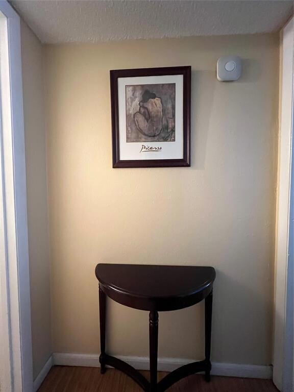 Details with baseboards, a textured ceiling, and wood finished floors