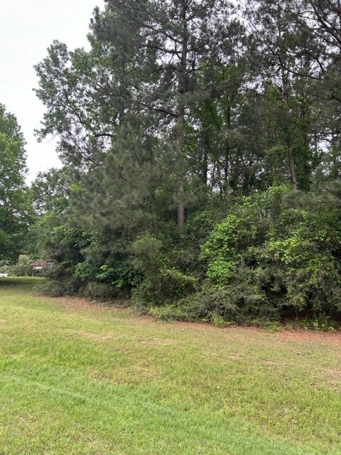 102 Ebner Lake Dr, Montgomery, TX 77316 - photo 3