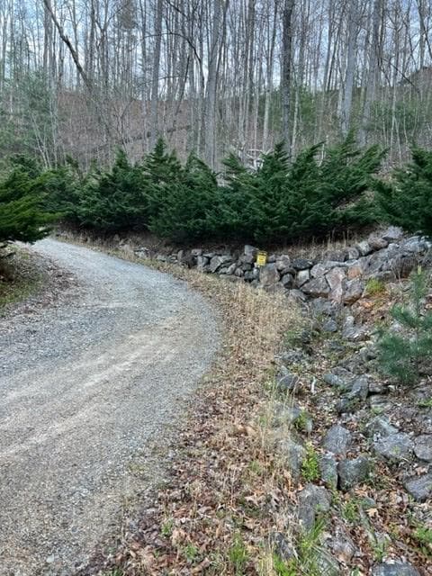 00 Glennview Ln, Franklin, NC 28734 - photo 4