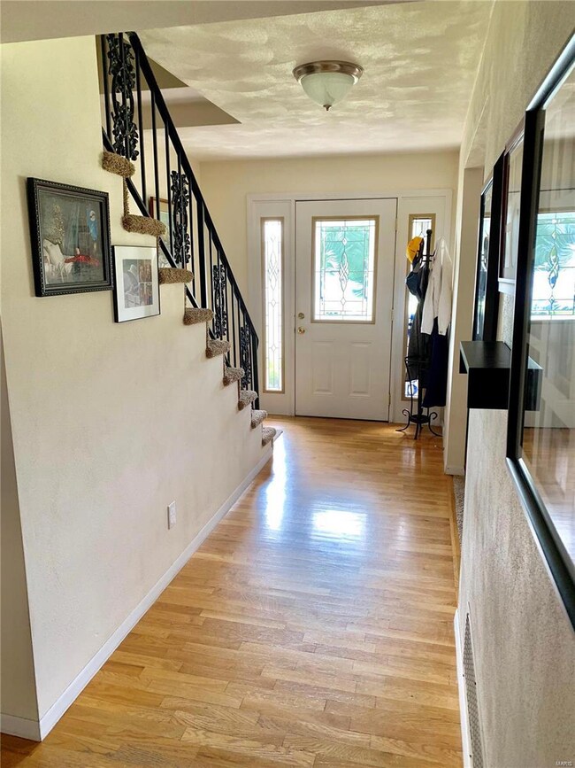 21 Lakeview Dr, Freeburg, IL 62243 - photo 4