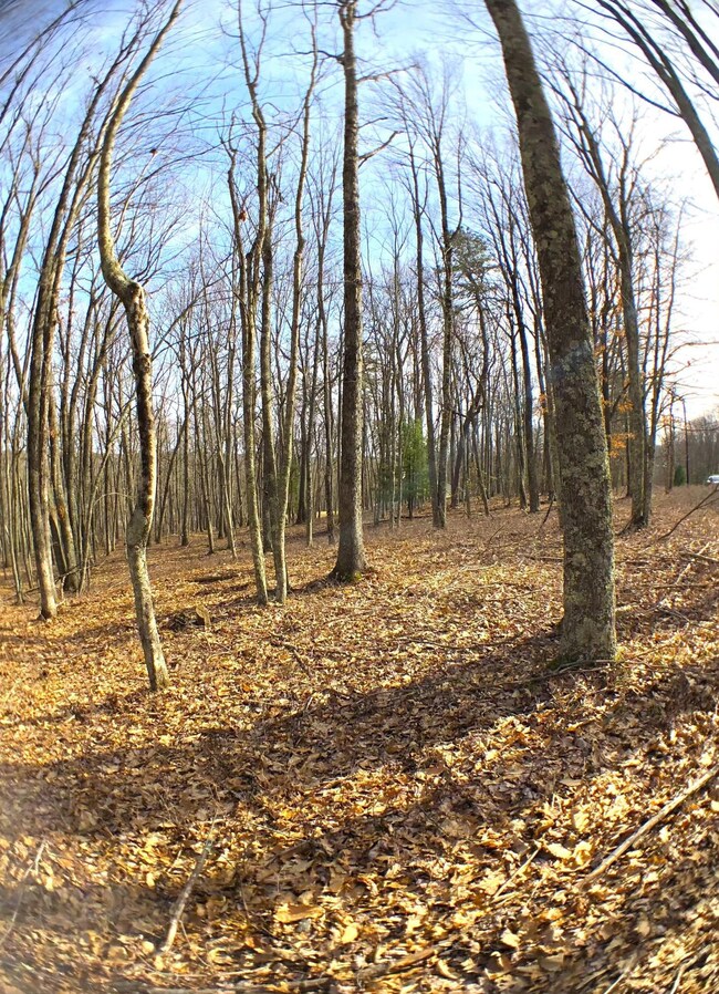 Lot 12 Briarcrest Dr, Lackawaxen Township, PA 18428 - photo 6