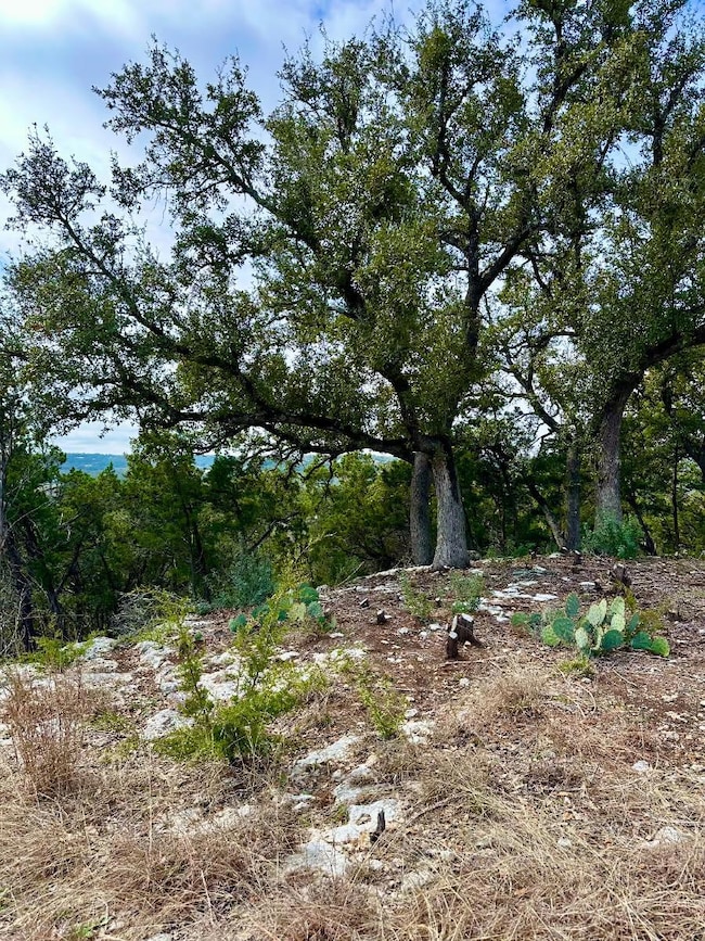 View of landscape