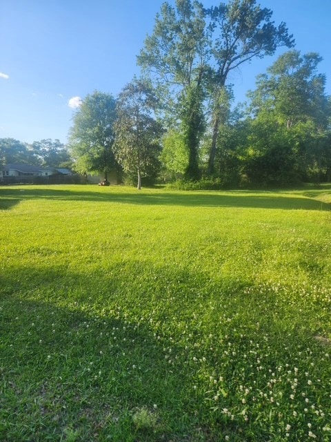 703 Carroll St, Picayune, MS 39466 - photo 5