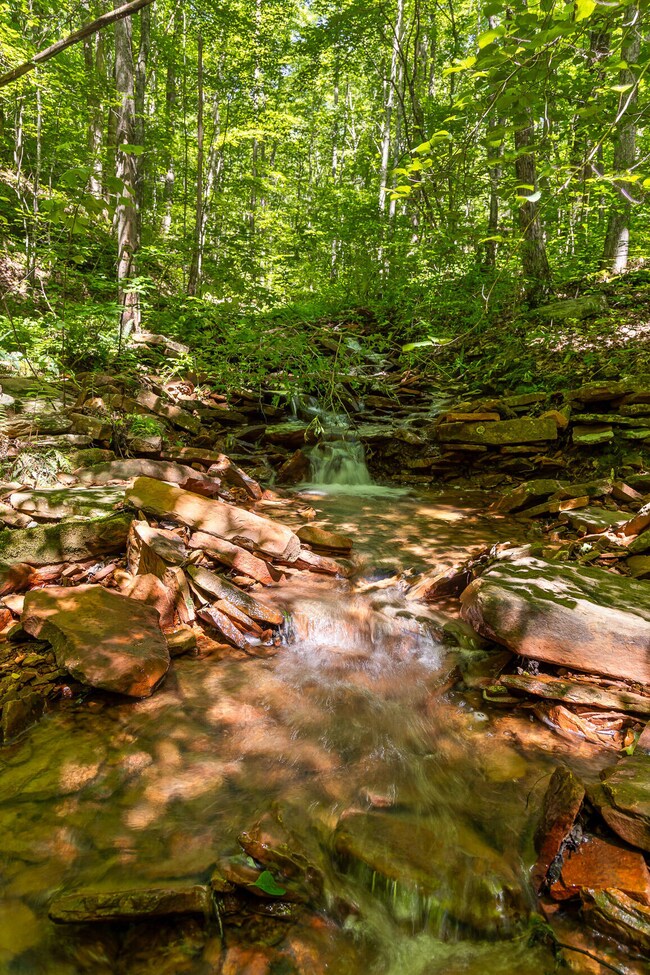 Roaring Creek Farms-159
