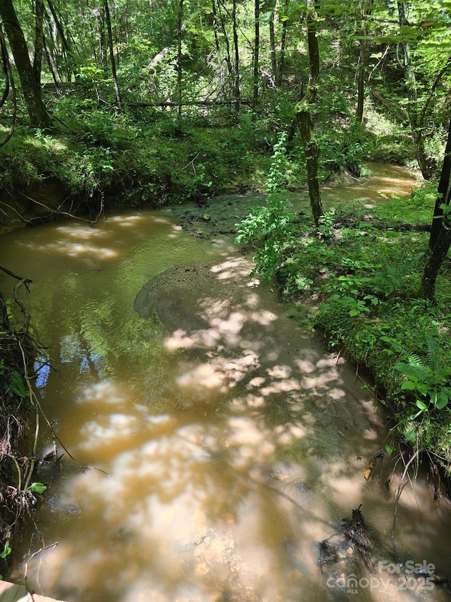 0 Frog Creek Rd unit CAR4326977, Union Mills, NC 28167 - photo 5