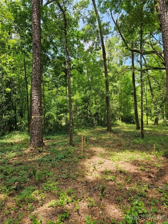 0 NW 83rd Court Rd unit 850146, Ocala, FL 34482 - photo 6