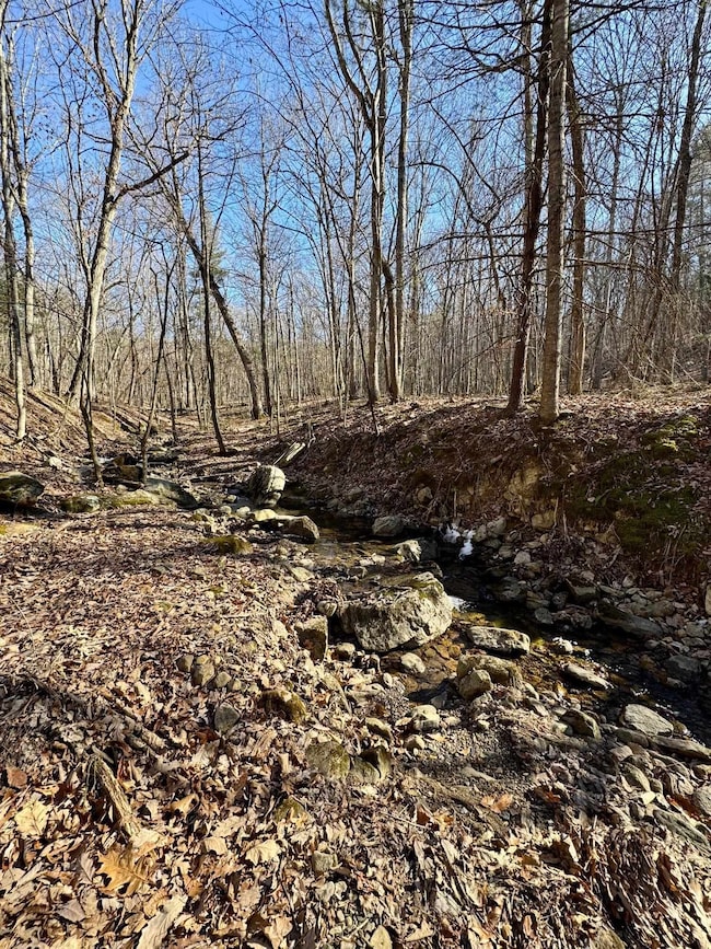 Lot 10 Independence Ln, New Market, VA 22844 - photo 3