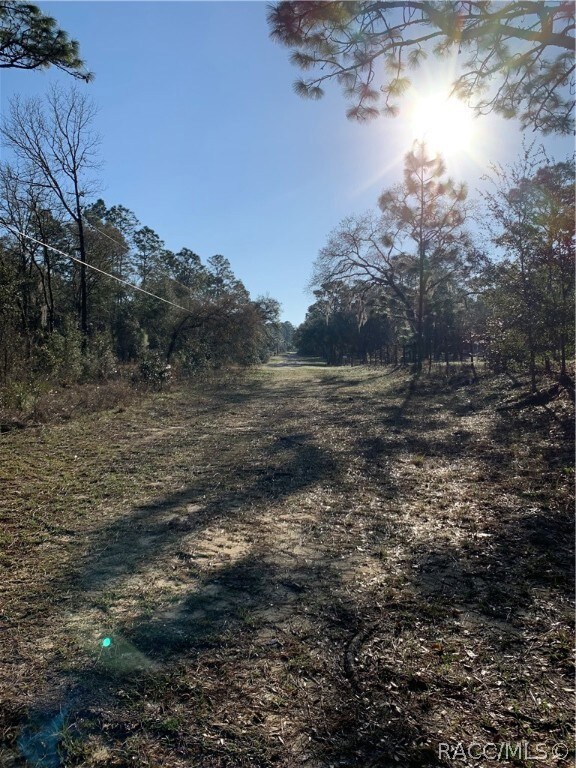 30 E Jinnita St, Hernando, FL 34442 - photo 4