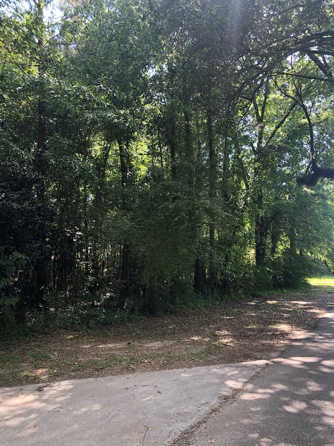 Lot 8 Williamsburg Rd, Picayune, MS 39466 - photo 4