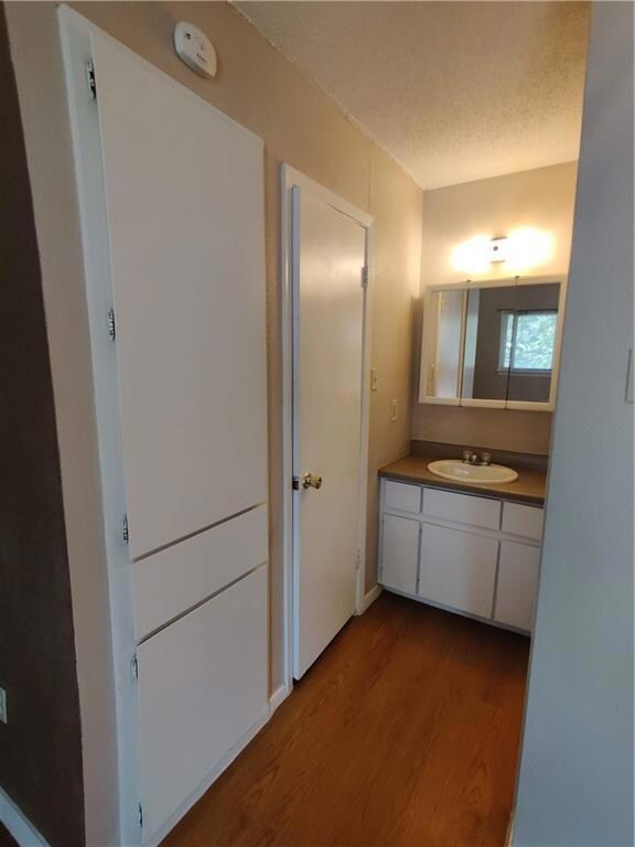 Bathroom featuring wood finished floors and vanity