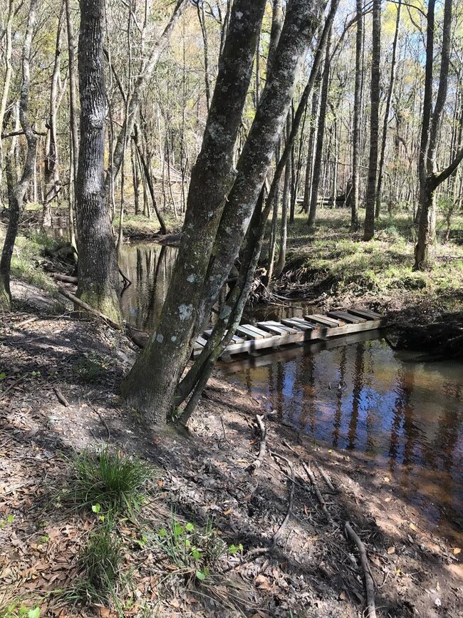 417 Vance Rd, Tarrytown, GA 30470 - photo 2