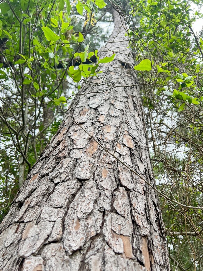 View of exterior details