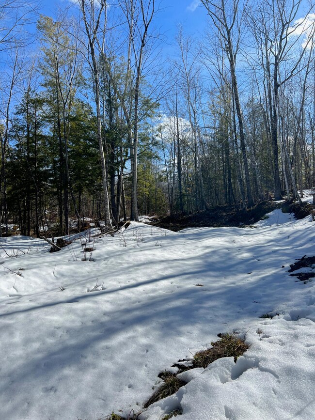 Stoneham - 1 (6)