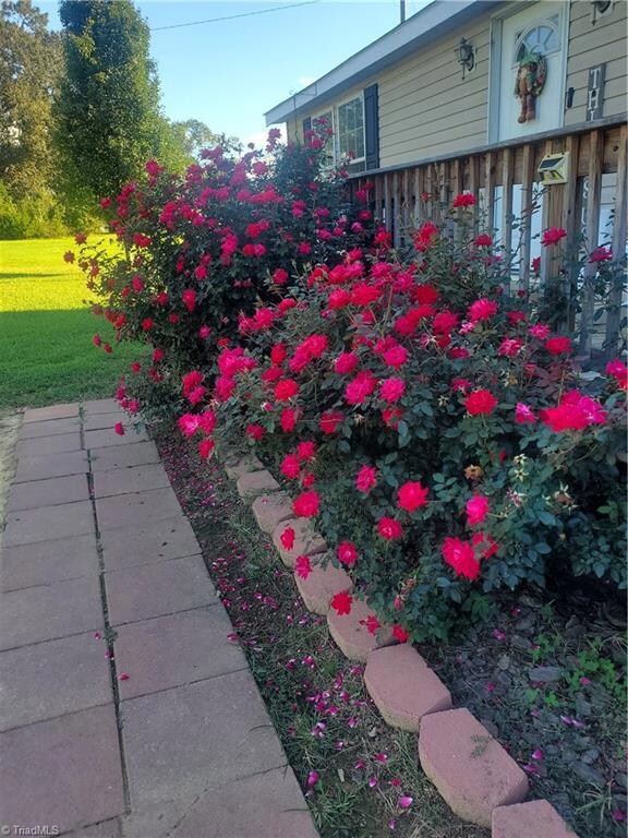 1936 Foxfire Rd, Asheboro, NC 27205 - photo 5