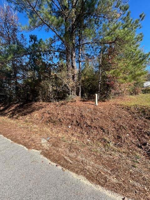 5485 Mayrant Rd, Rembert, SC 29128 - photo 3