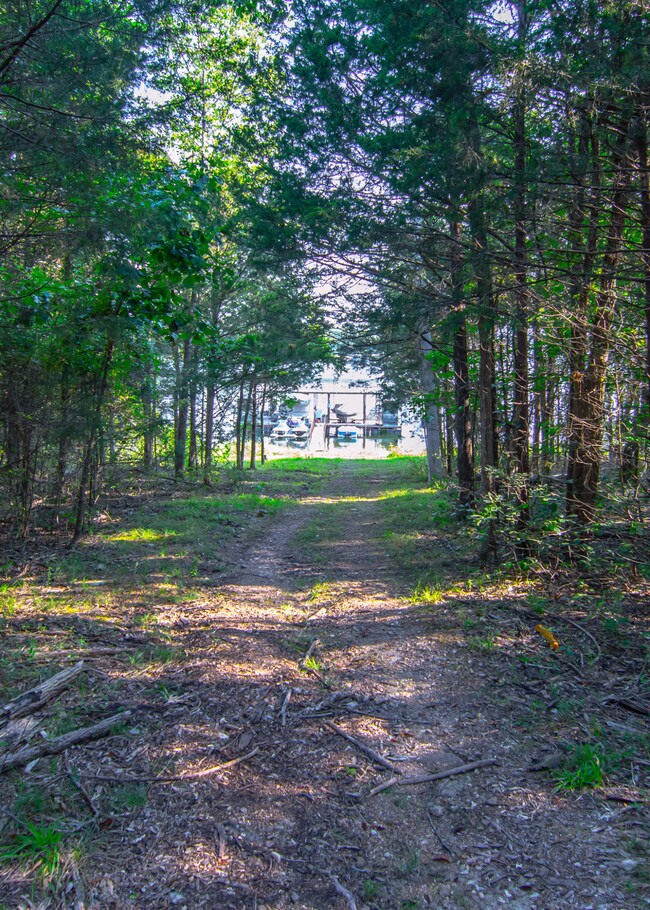 1299 Breezy Point Ln, Kimberling City, MO 65686 - photo 2