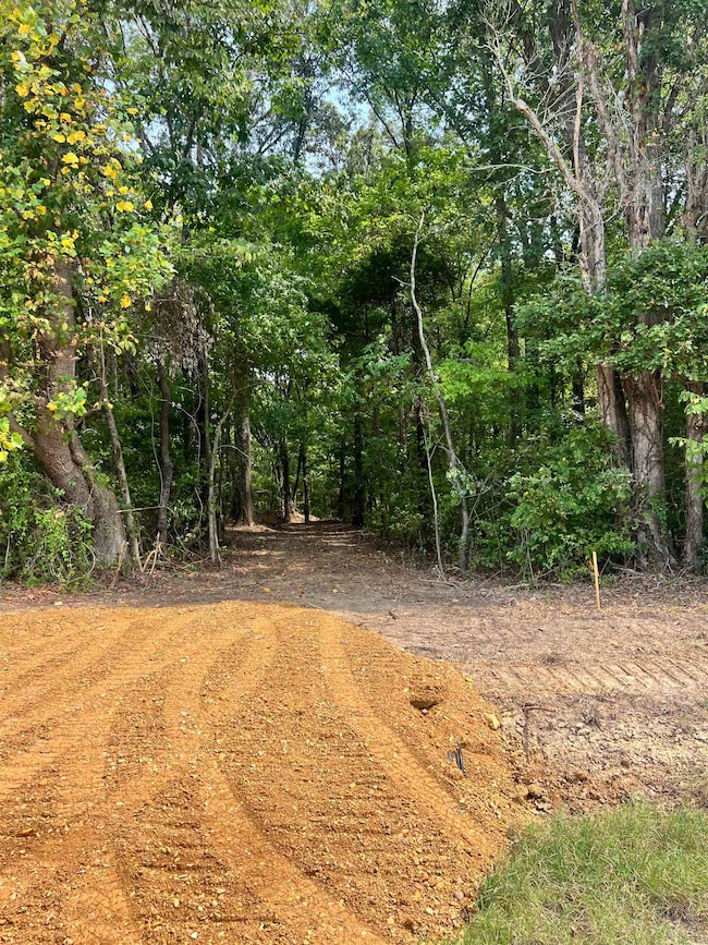 View of dirt / gravel road