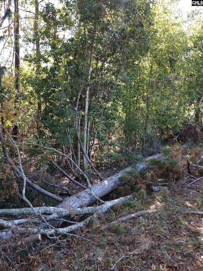 TBD Sam Koon Rd, Little Mountain, SC 29075 - photo 3