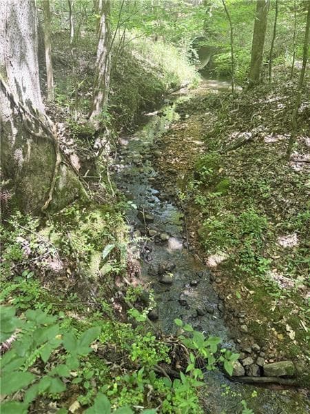 0 Benson Rd unit 7687374, Dallas, GA 30132 - photo 3