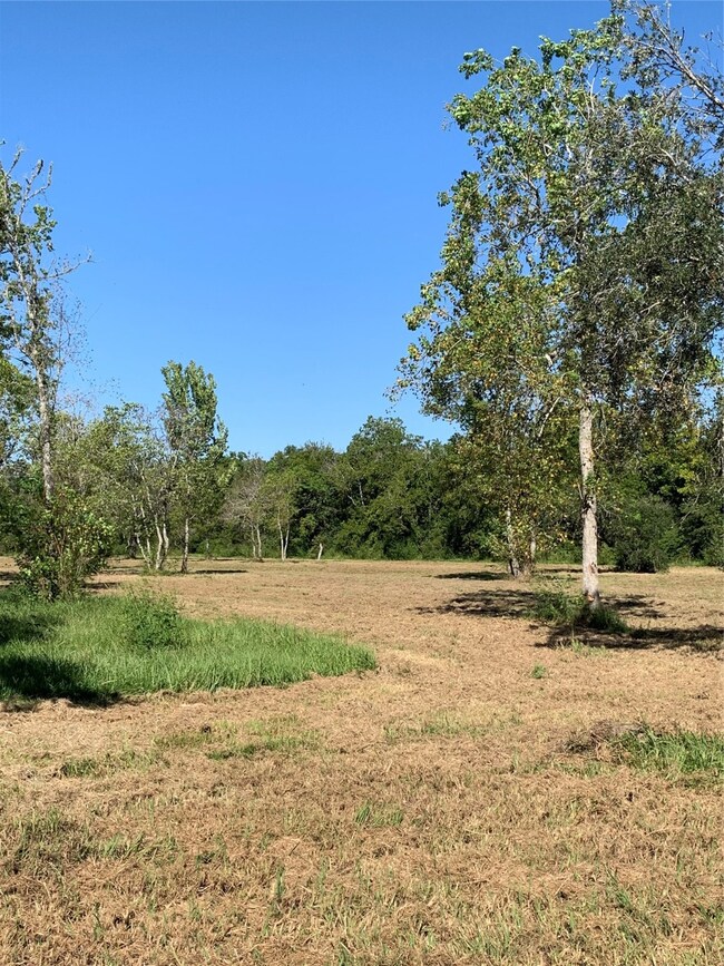 0 Clifford St County Road 137 unit 37933508, Alvin, TX 77511 - photo 2